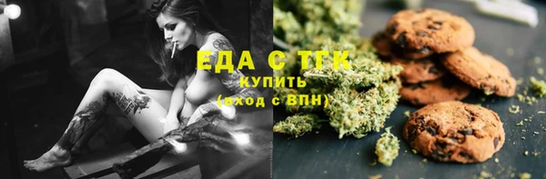 индика Алексин