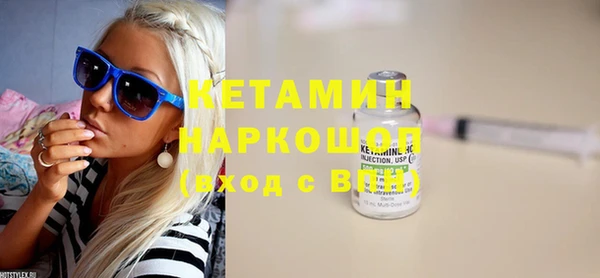 индика Алексин
