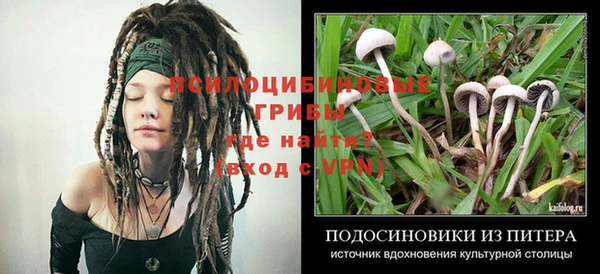 индика Алексин