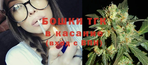 индика Алексин