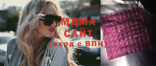 индика Алексин